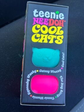 Cool Cats Kids Learning Toy
